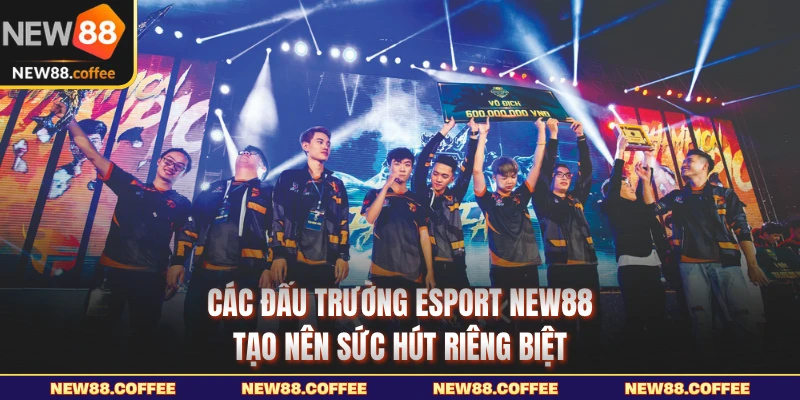 Các đấu trường Esport NEW88 tạo nên sức hút riêng biệt
