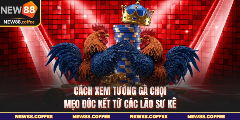 Hướng dẫn chọn kê thủ dựa vào kinh nghiệm từ các tiền bối