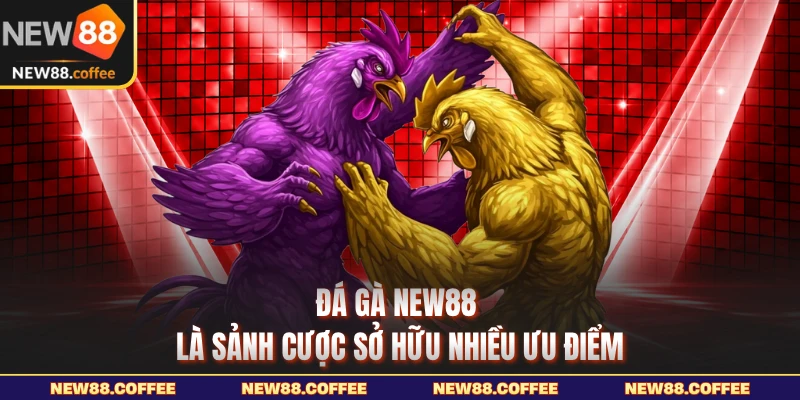Đá gà NEW88 là sảnh sở hữu nhiều ưu điểm
