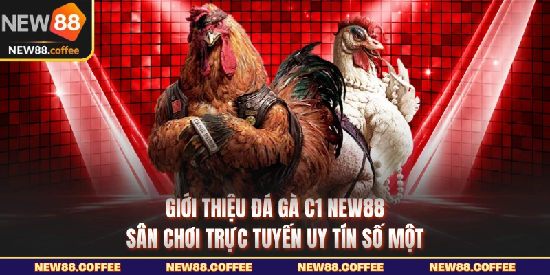 Giới thiệu đá gà C1 NEW88 sân chơi trực tuyến uy tín số một