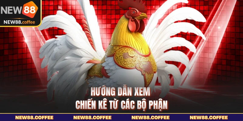 Hướng dẫn xem chiến kê từ các bộ phận