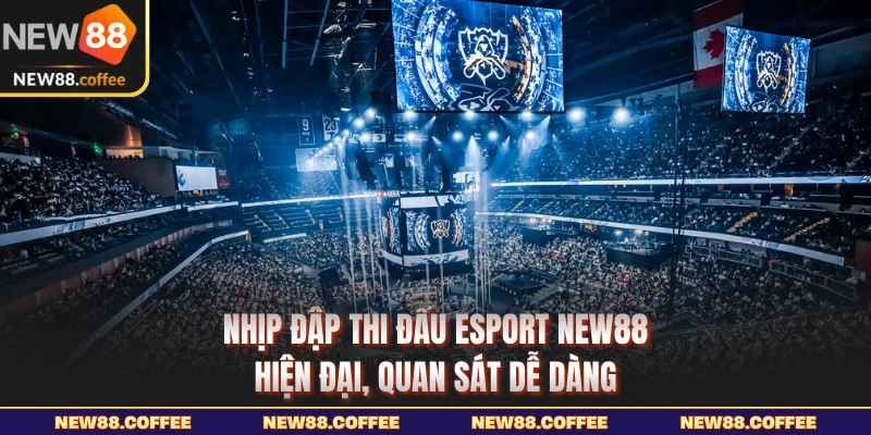 Nhịp đập thi đấu Esport NEW88 hiện đại, quan sát dễ dàng