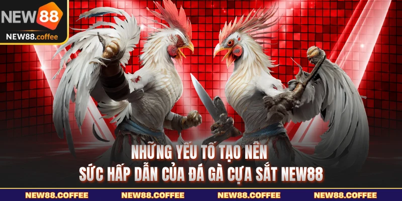 Những yếu tố tạo nên sức hấp dẫn của đá gà cựa sắt NEW88