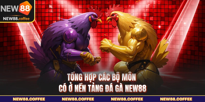 Tổng hợp các bộ môn có trên nền đá gà NEW88